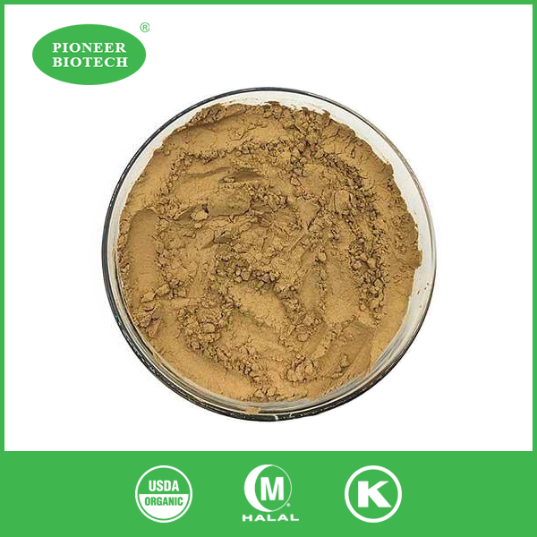 Reishi Spore powder